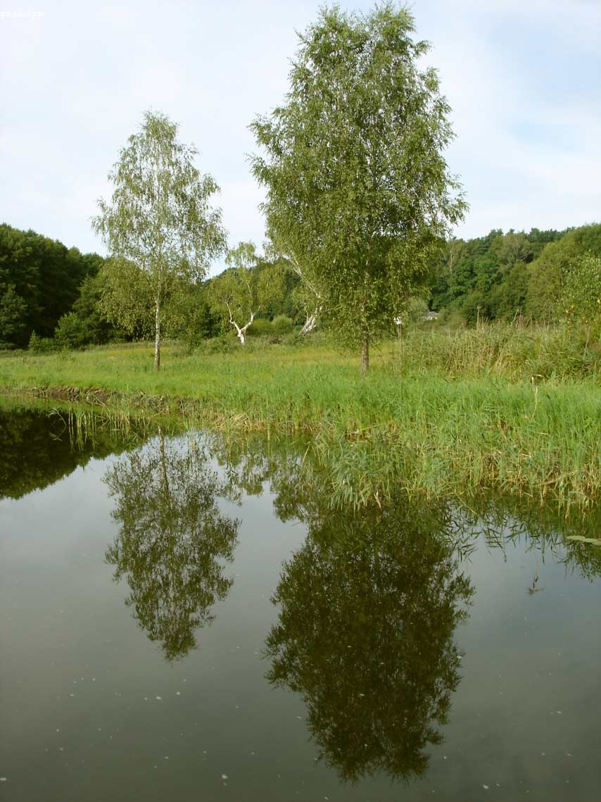 augenblick