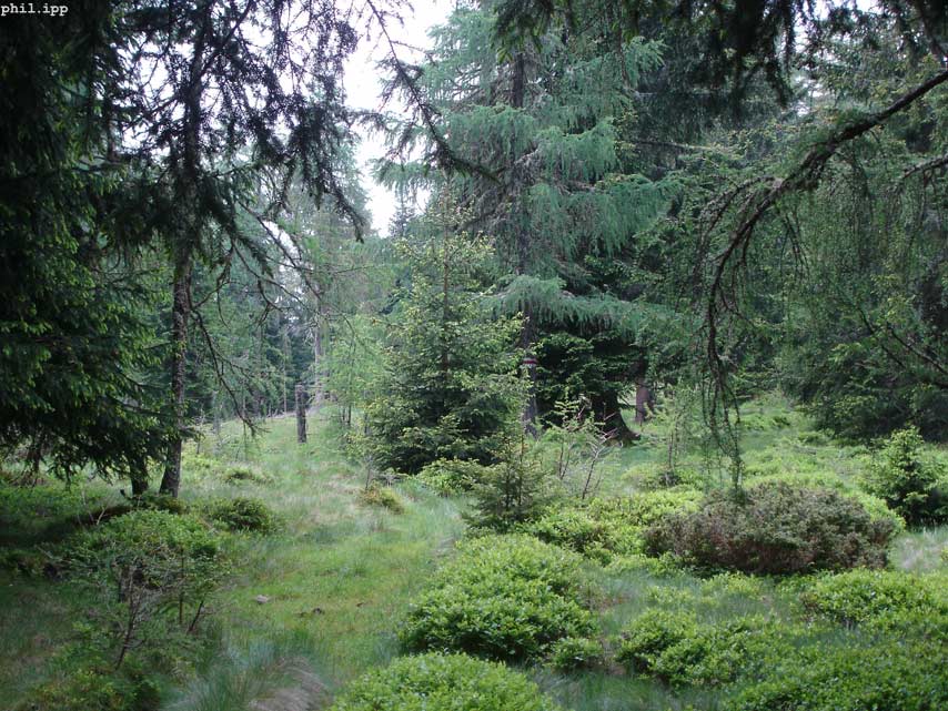augenblick